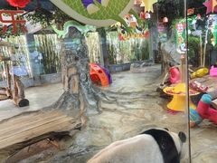 -海南热带野生动植物园
