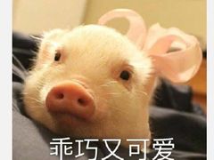 -大自然醉鹅·铁锅火焰鹅(上海联洋店)