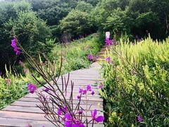 -白草畔自然风景区