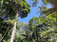 -西双版纳基诺山寨