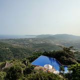 怕回不来，只能去森林公园溜达溜达了，门票好贵