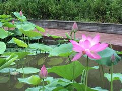 -九龙湾景区拓展会议