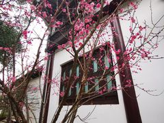 -上海醉白池公园