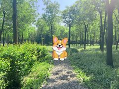 -将府公园