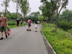 -东郊湿地公园