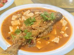 -煲来饱去冷水鱼