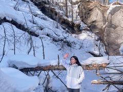 -峡谷浮石林景区