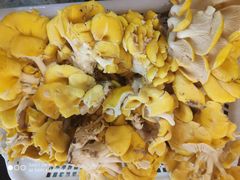 鸡油黄-抚仙湖生态石锅鱼野生菌(告庄店)