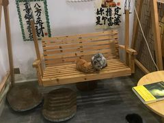 -楼上猫咖(罗湖店)