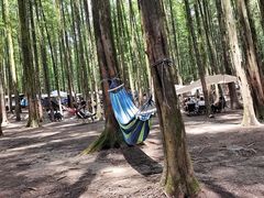 -山王坪喀斯特国家生态公园