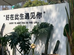 -云里小坐·小院里·团建·宴请·下午茶(三圣乡店)