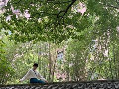 -竹吟山房