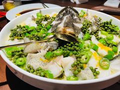 青青椒麻龙胆鱼-CHIC1699远洋私厨
