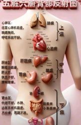 -克丽缇娜