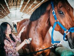 -松声马术俱乐部