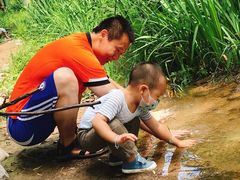 -云岗森林公园