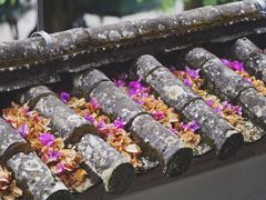 -和顺古镇