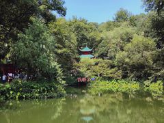 -岳麓山风景名胜区