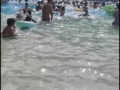 -重庆海昌加勒比海水世界