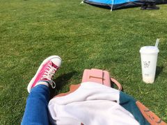 -昆山城市生态森林公园