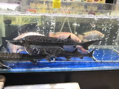 -蚝得喜海鲜(东城店)