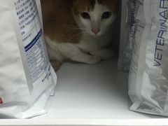 -康乐宝动物医院