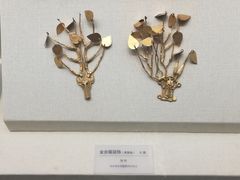 -包头博物馆