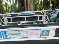 -大湾区中央湿地公园