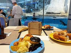 -帝企鹅自助餐厅•儿童岛•真企鹅(长隆企鹅酒店)