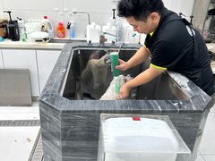 -柚子宠物(伊珊娜调理店)