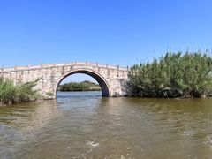 -宁波杭州湾国家湿地公园