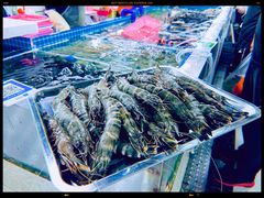 -三亚新鸿港水果一级批发市场