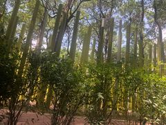 -东湖落雁景区