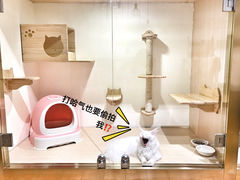 -Double Rui宠物酒店
