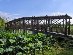 -同里国家湿地公园