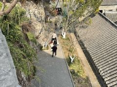 -戏马台景区