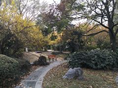 -中国科技大学-专家楼食堂