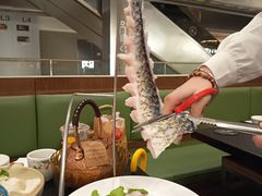 -得意咚瓜·顺德鱼生·冬瓜火锅(深圳首店)