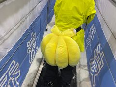 -绍兴启迪乔波冰雪世界