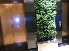 -北国商城