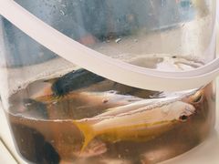 -铭轩中餐厅·海南菜·粤菜(亚龙湾瑞吉店)