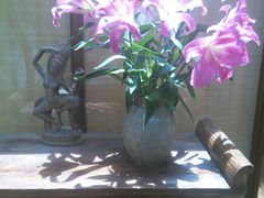 android_upload_pic-新竹里馆·花园餐厅(兴苑路店)