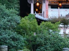-十八棵（老龙井）御茶园(老龙井店)