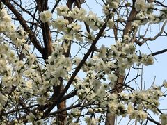 -龙湖星悦荟(颐和店)