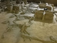 -洛阳周王城天子驾六博物馆