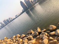 -金沙湖公园