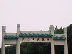 -武汉大学-樱园
