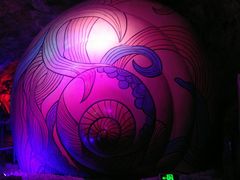 -贝壳梦幻世界