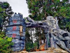 -梭布垭石林景区