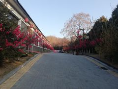 -大连步云山老汤度假山庄